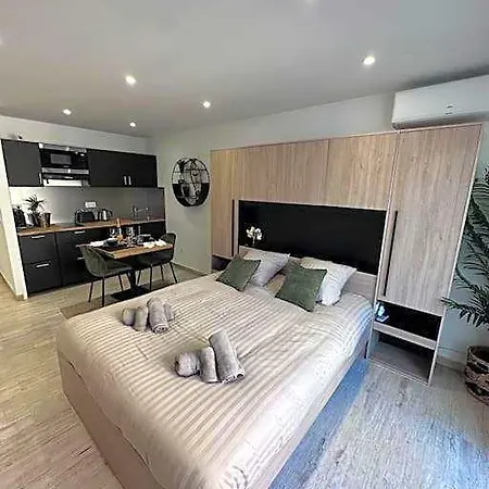 Апартаменты Superbe Avec Balcon Rue D'antibes Канны