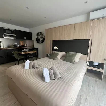 Superbe Avec Balcon Rue D'antibes Канны
